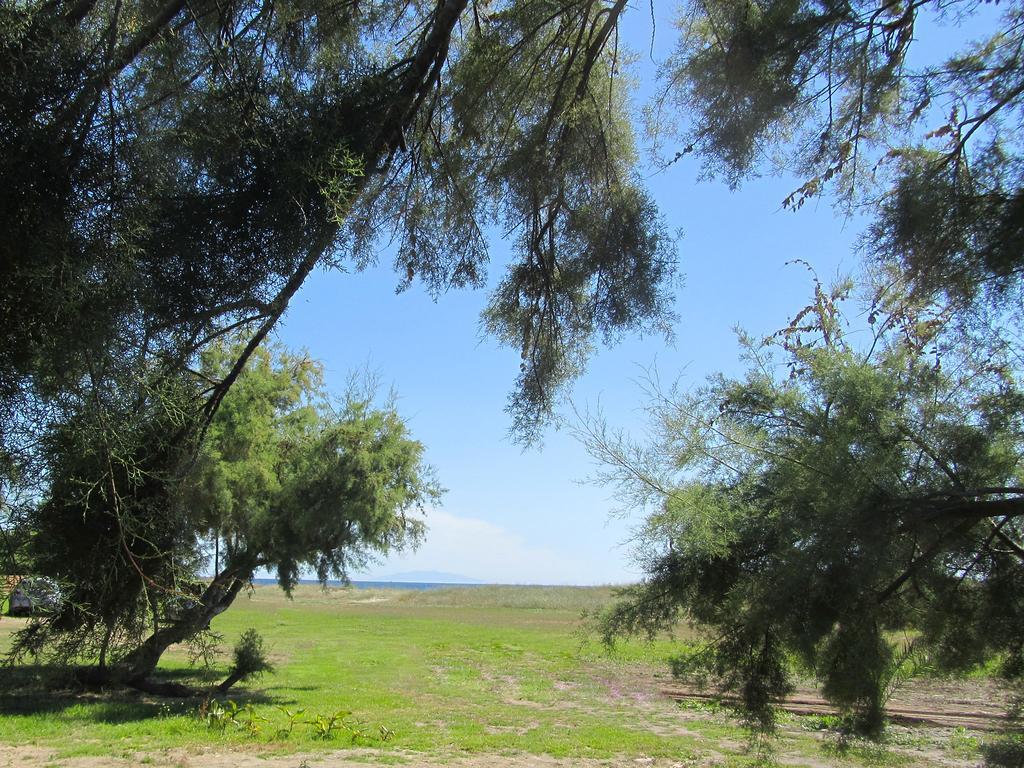 Готель Camping Miami Plage Poggio Mezzana Екстер'єр фото